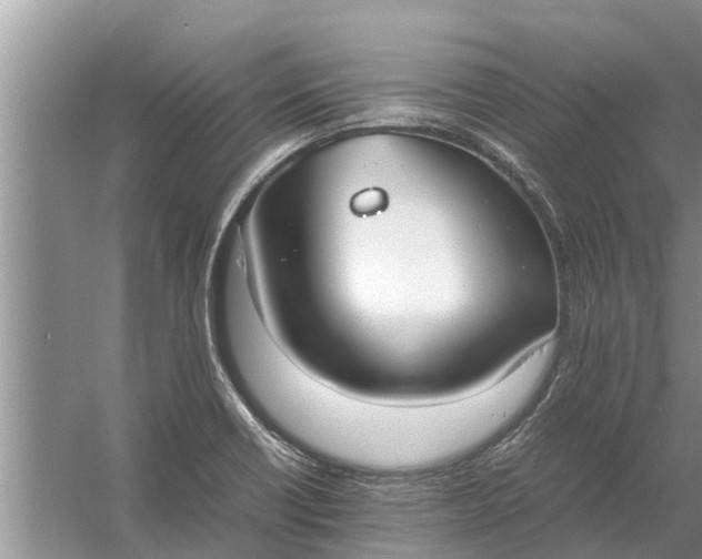 X0000058131418200510071953