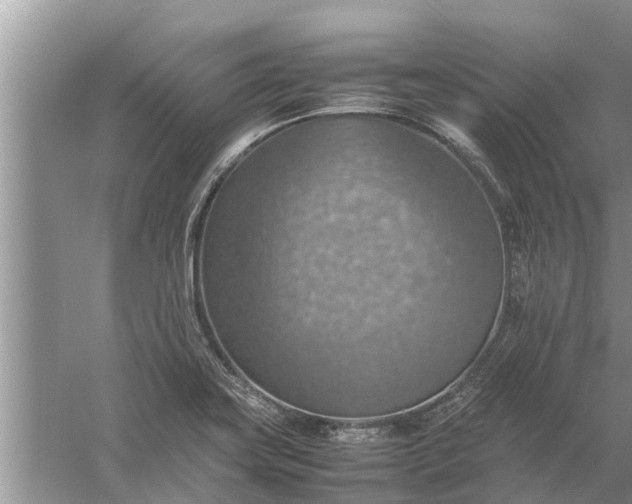 X0000058131419200510071953