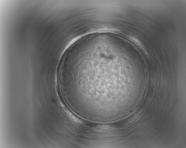 X0000058131420200510071953