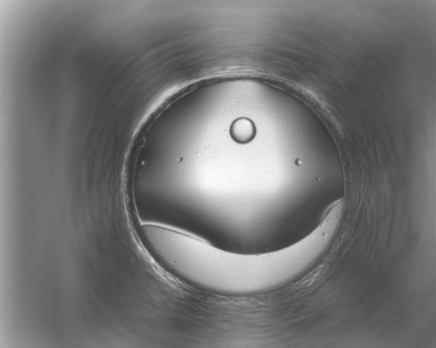 X0000058131422200510071953