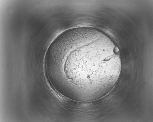 X0000058131423200510071953