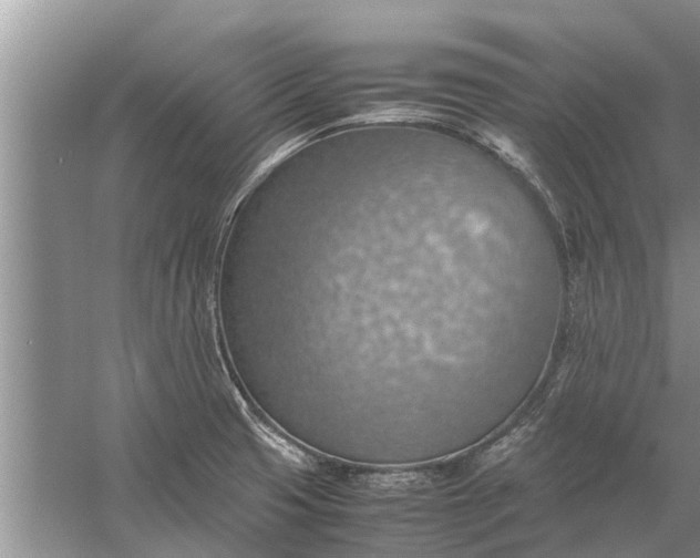 X0000058131425200510071953