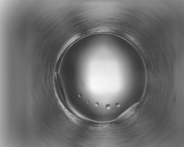 X0000058131426200510071953