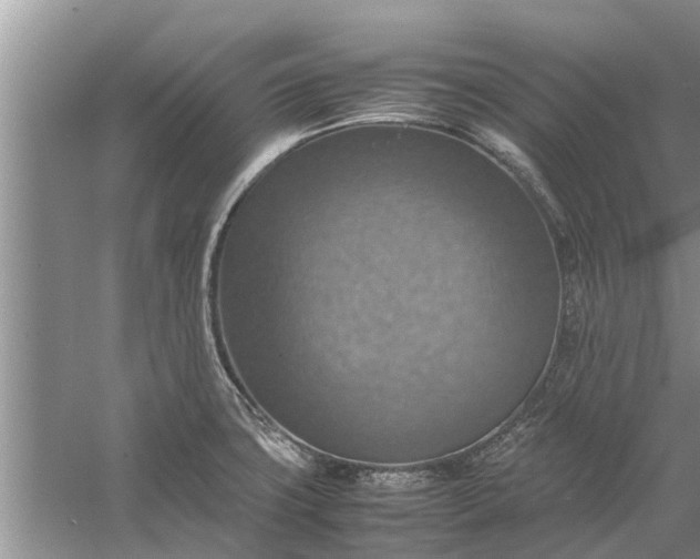 X0000058131427200510071953