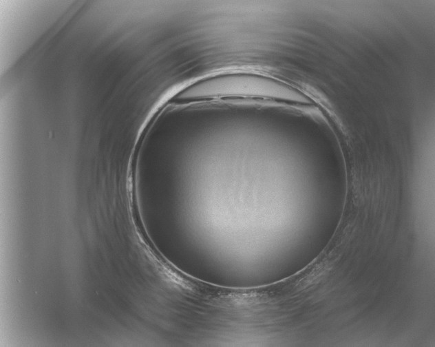 X0000058131428200510071953