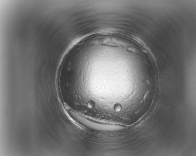 X0000058131429200510071953