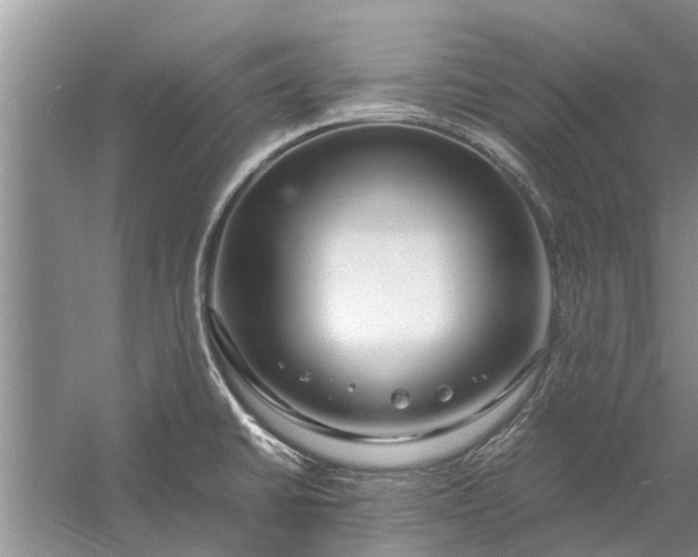 X0000058131430200510071954