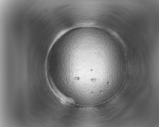 X0000058131432200510071954