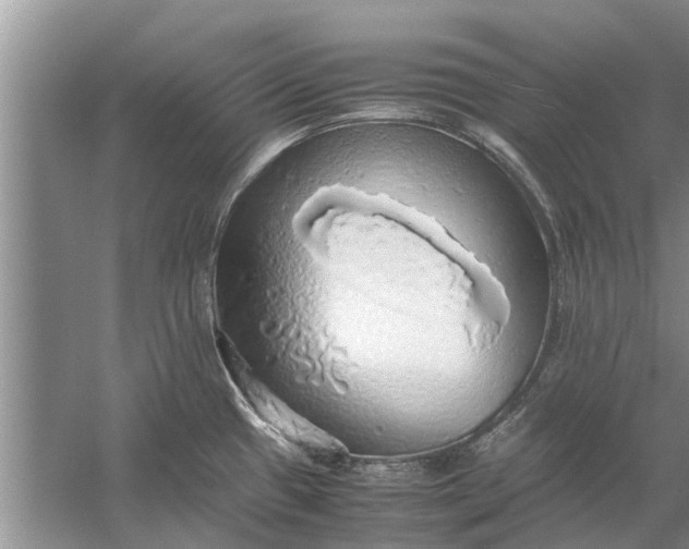 X0000058131433200510071954