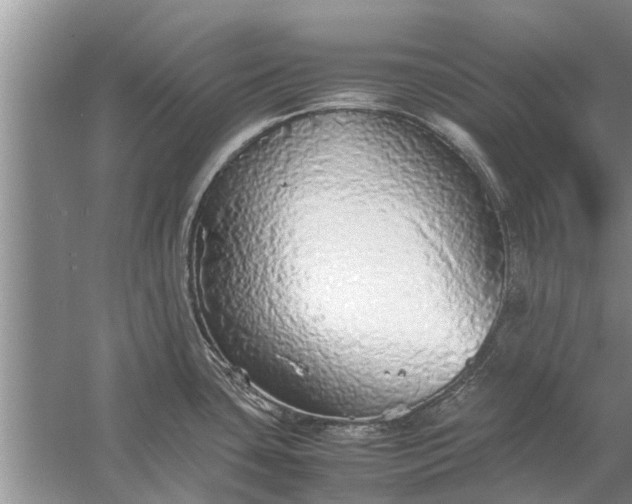 X0000058131435200510071954