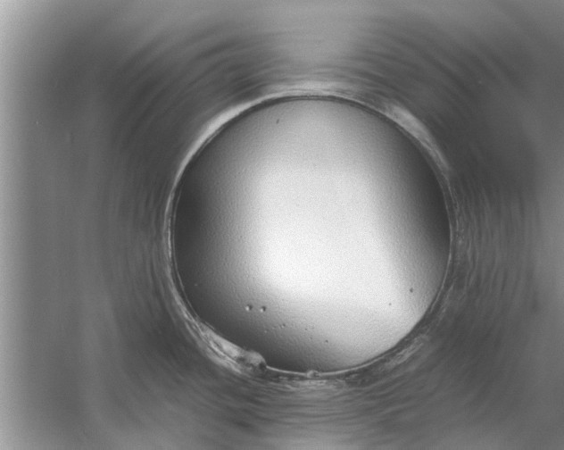 X0000058131436200510071954