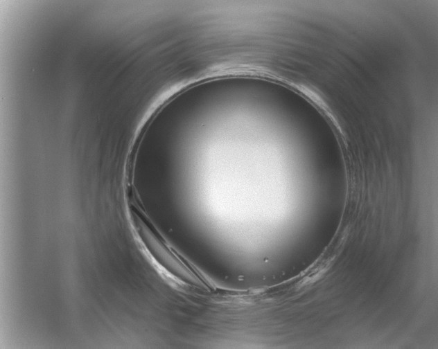 X0000058131438200510071954