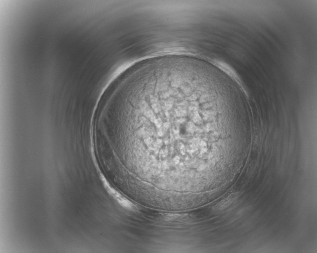 X0000058131439200510071954