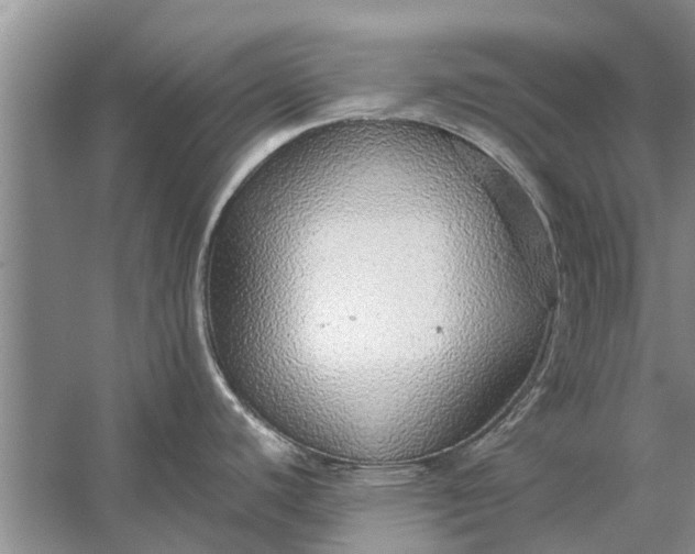 X0000058131440200510071954