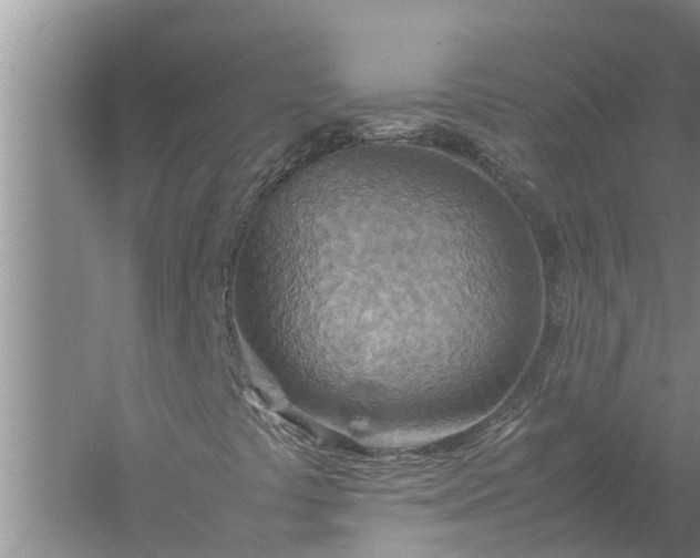 X0000058131441200510071953