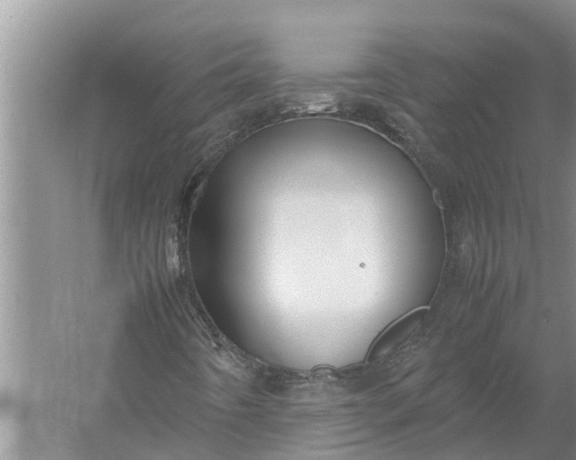 X0000058131442200510071953