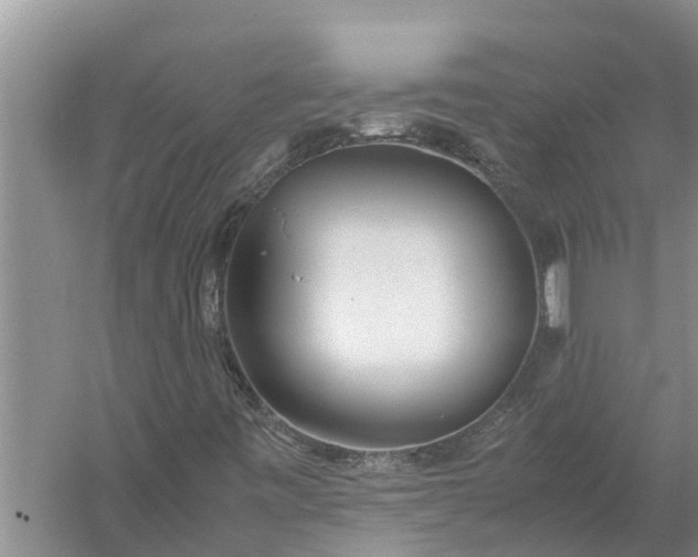 X0000058131443200510071953