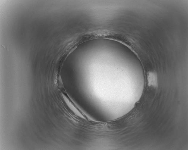 X0000058131444200510071953