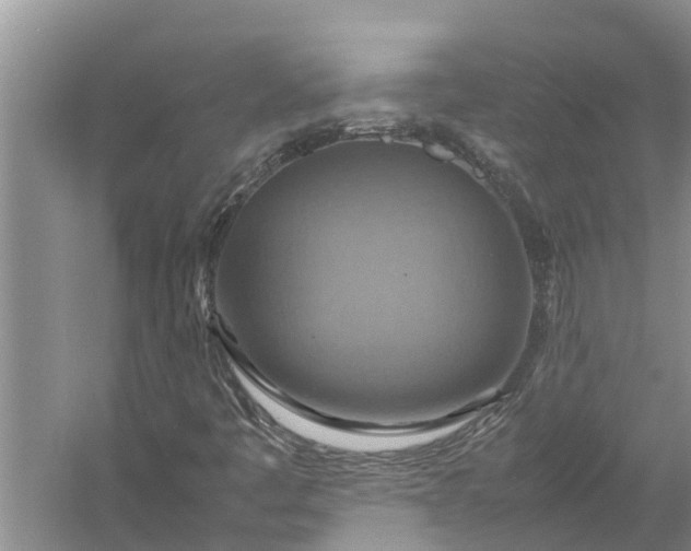 X0000058131445200510071953