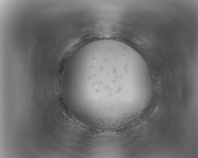 X0000058131446200510071953