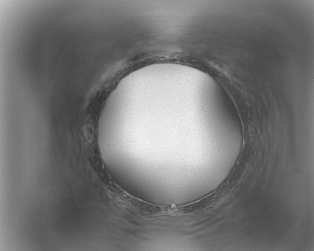 X0000058131447200510071953