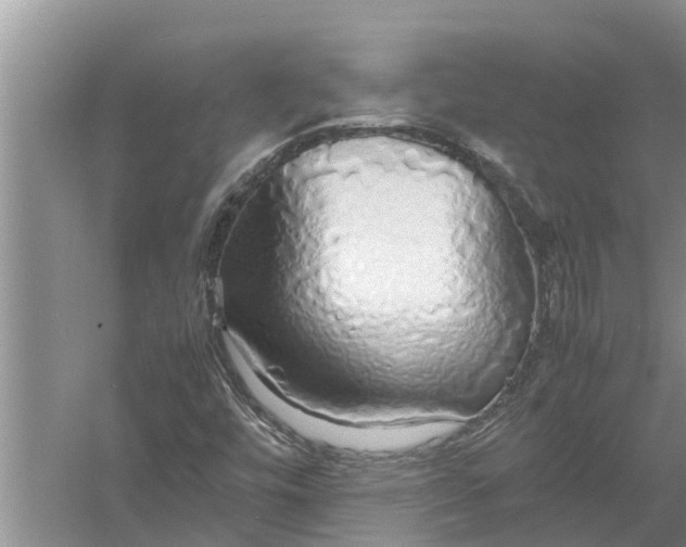 X0000058131448200510071953