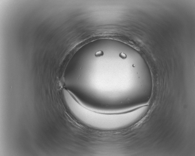 X0000058131449200510071953