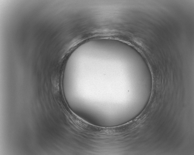 X0000058131451200510071953