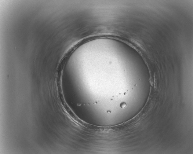 X0000058131452200510071953