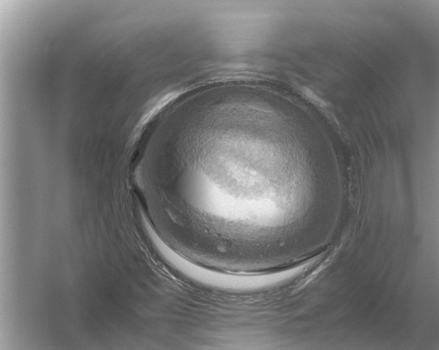 X0000058131453200510071953