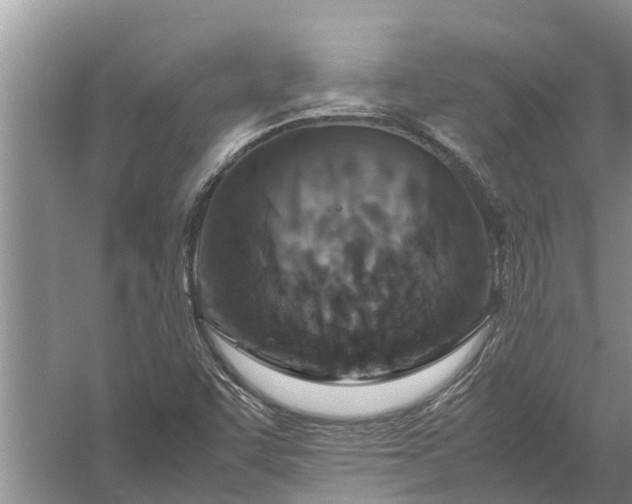 X0000058131455200510071953