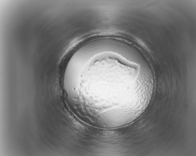 X0000058131456200510071953