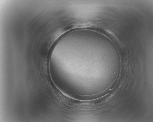 X0000058131457200510071953