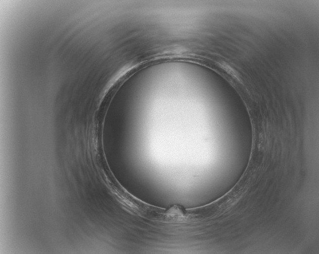 X0000058131458200510071953