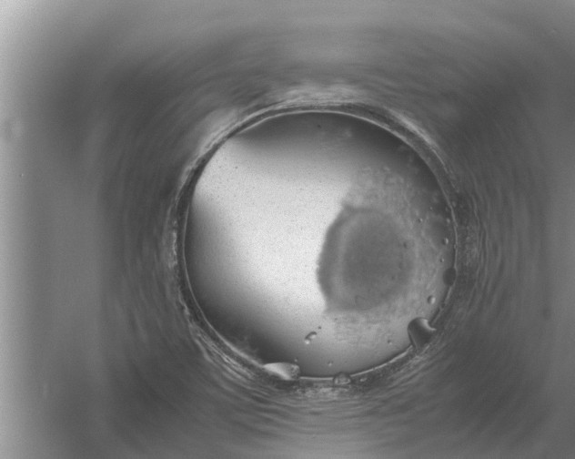 X0000058131459200510071953