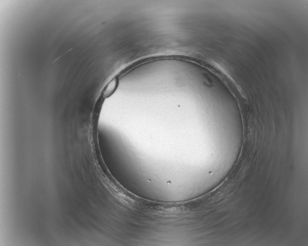 X0000058131460200510071953