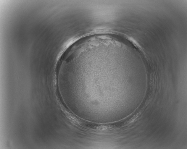 X0000058131461200510071953