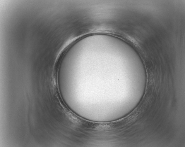 X0000058131462200510071953