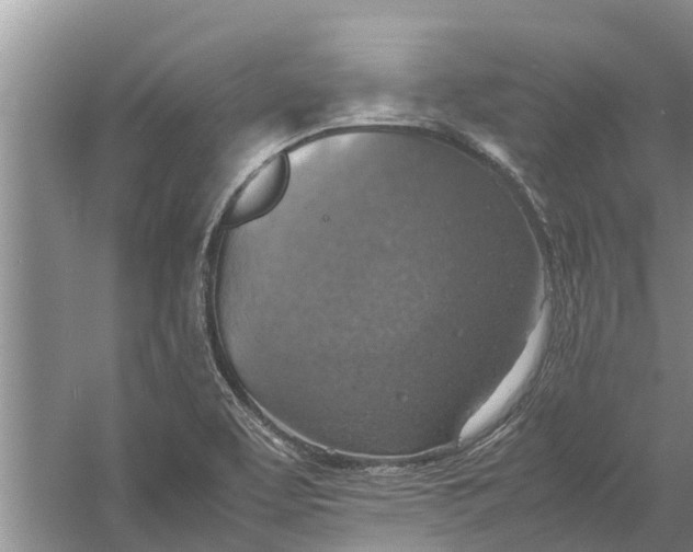 X0000058131463200510071952