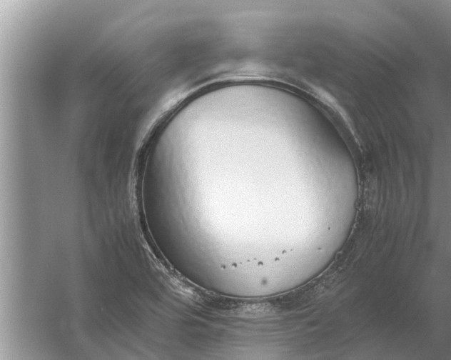 X0000058131464200510071952