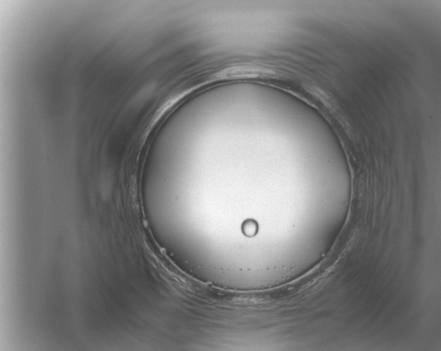 X0000058131465200510071952