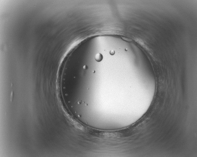 X0000058131469200510071952