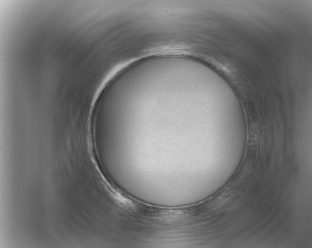 X0000058131470200510071952