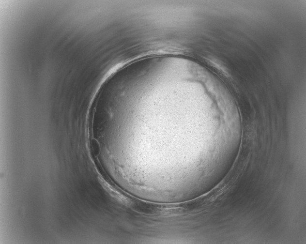 X0000058131471200510071952