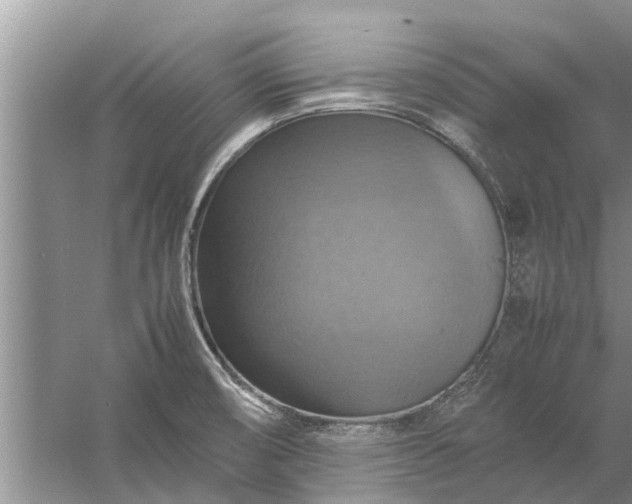 X0000058131474200510071952