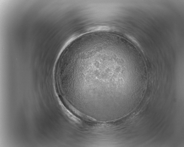 X0000058131475200510071952