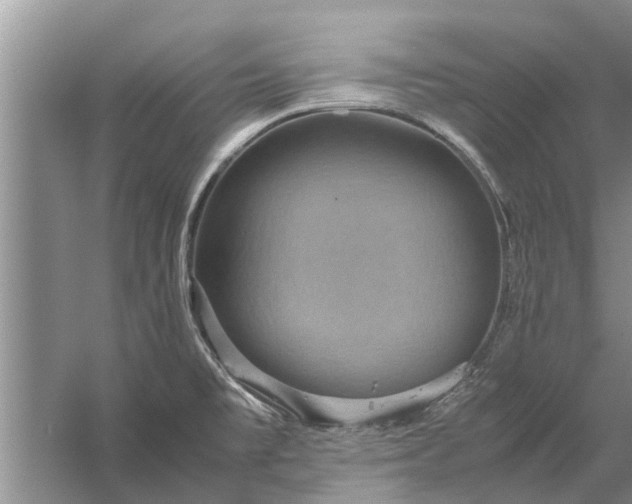 X0000058131477200510071952