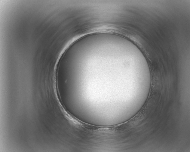 X0000058131478200510071952