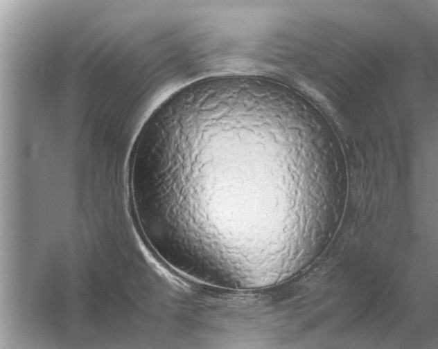 X0000058131479200510071952