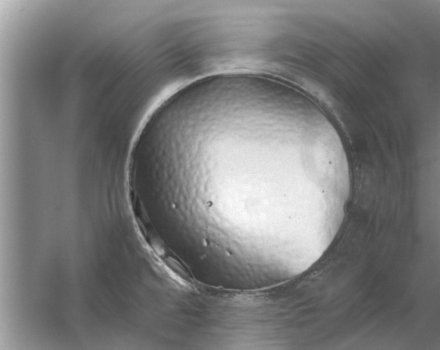 X0000058131480200510071952